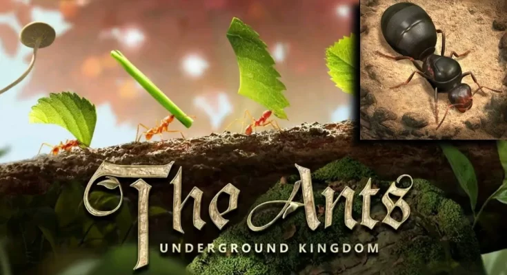 The Ants Underground Kingdom Trik Bangun Koloni Semut Terbaik