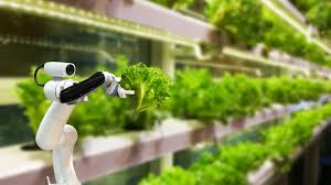 Vertical Farming Otomatis