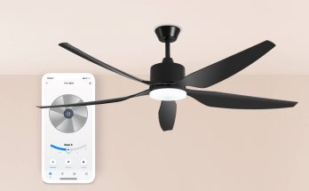 Smart Ceiling Fan