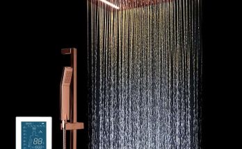 Smart Shower Head