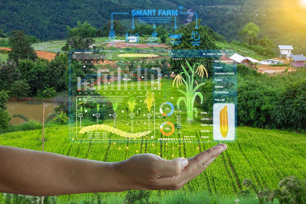 Smart Farming Device: Panduan Lengkap Mengoptimalkan Lahan Pertanian