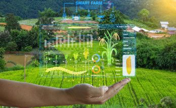 Smart Farming Device: Panduan Lengkap Mengoptimalkan Lahan Pertanian