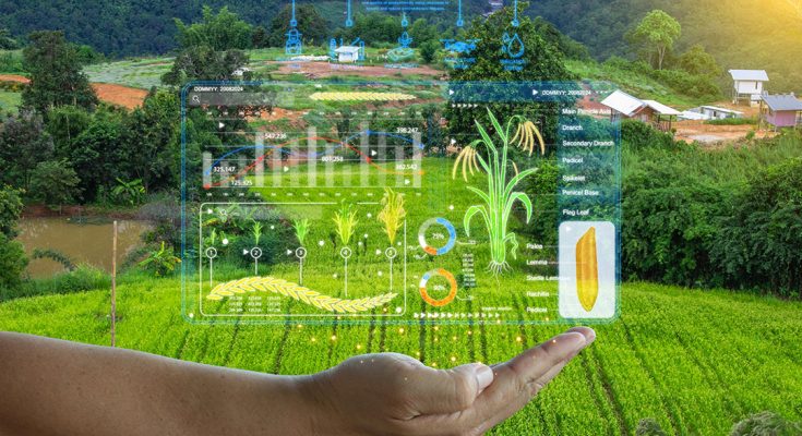 Smart Farming Device: Panduan Lengkap Mengoptimalkan Lahan Pertanian