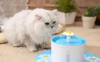 Tempat Minum Kucing Elektrik