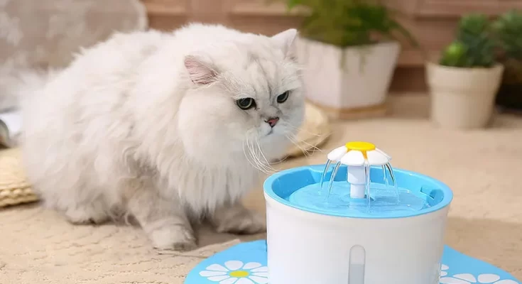 Tempat Minum Kucing Elektrik