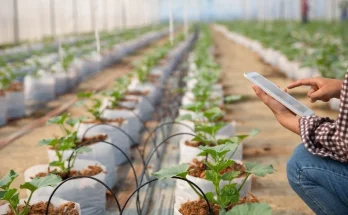 Biotech in Agriculture