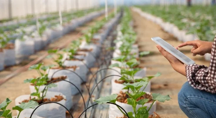 Biotech in Agriculture