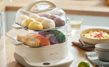 Electric Steamer