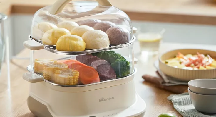 Electric Steamer