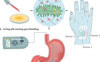 Engineered Living Therapeutics
