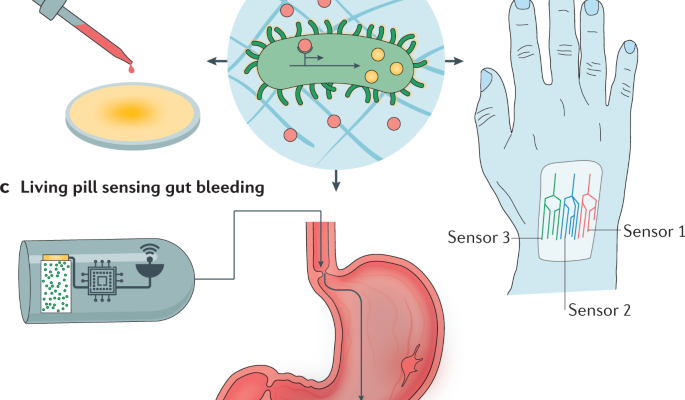 Engineered Living Therapeutics