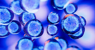 Engineered Living Therapeutics