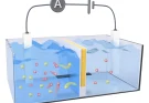 Osmotic Power Technology