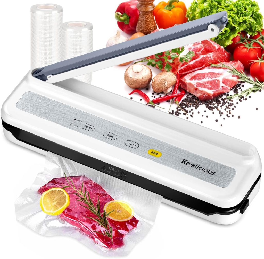 Vacum Sealer Makanan