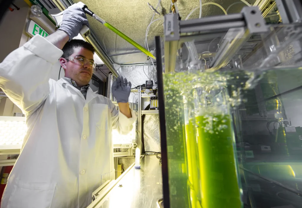 Biofuel Technology