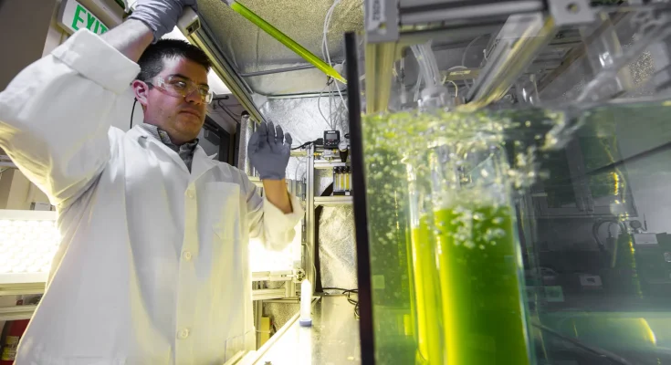 Biofuel Technology