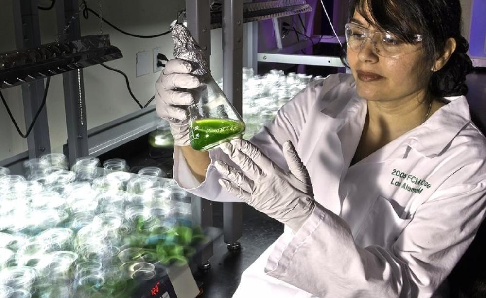 Biofuel Technology