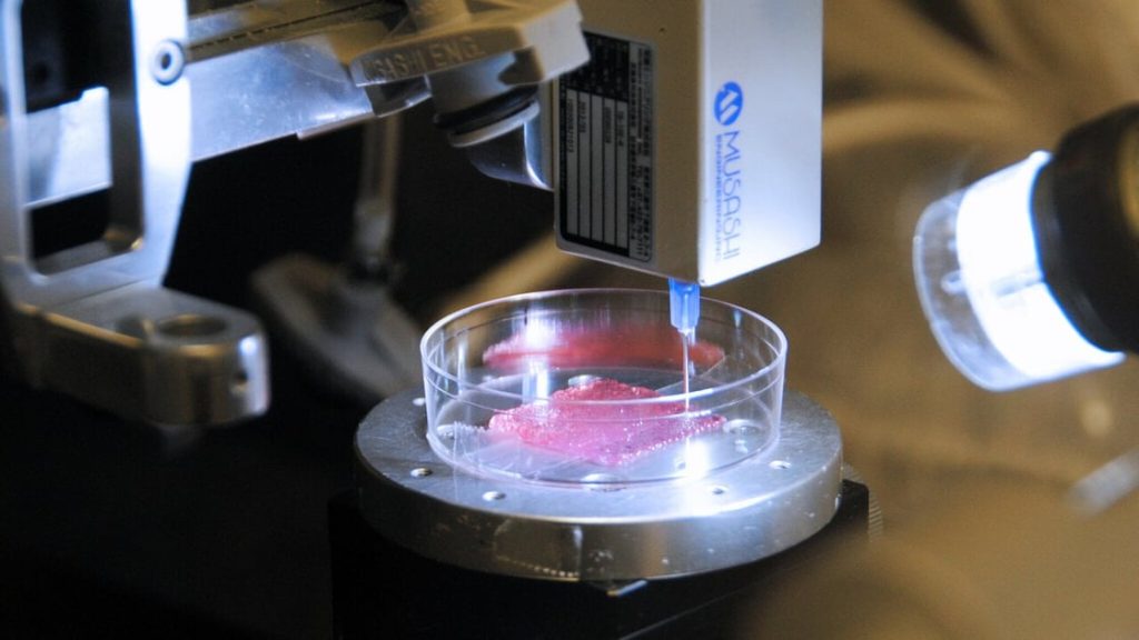 Bioprinting 3D