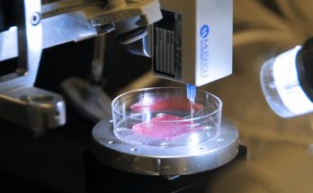 Bioprinting 3D
