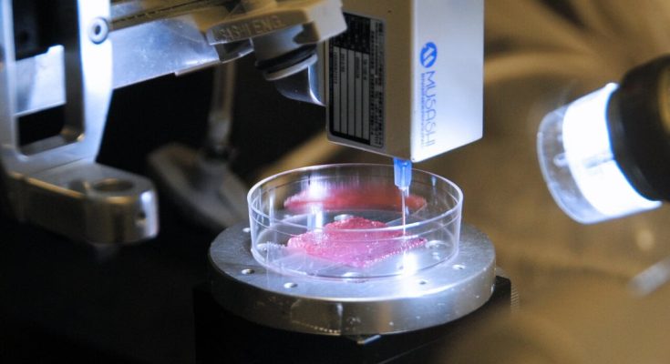 Bioprinting 3D