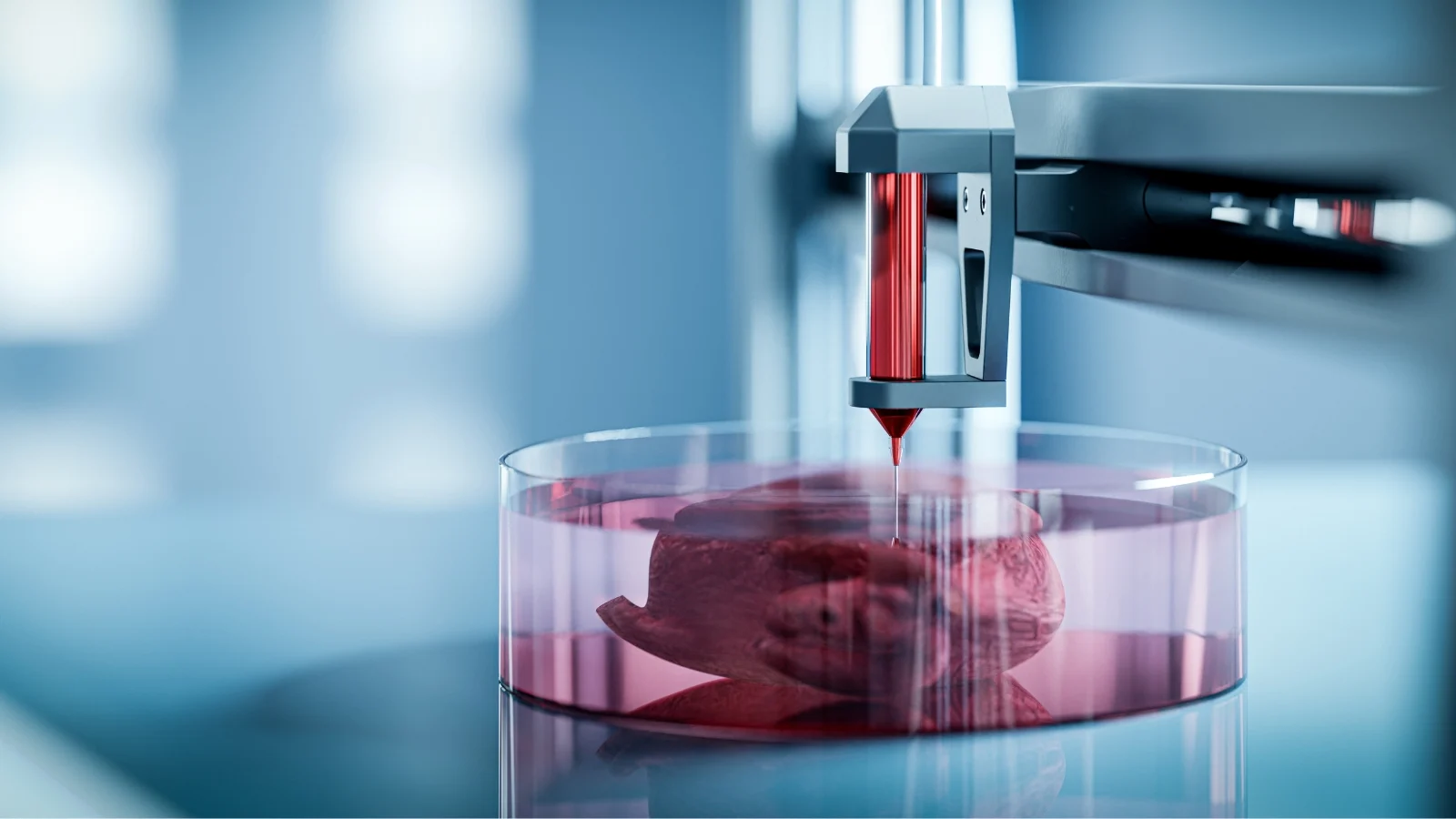 Bioprinting 3D