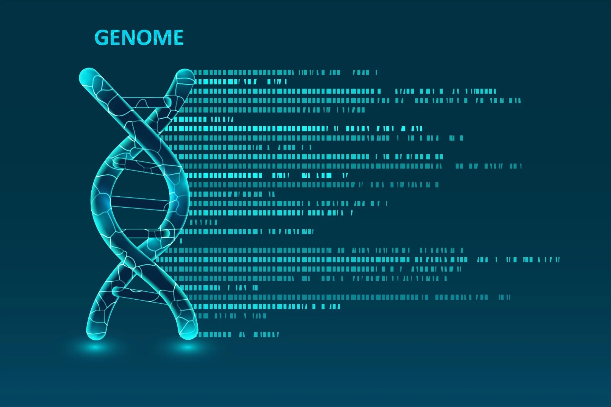 DNA Sequencing