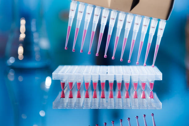 Polymerase Chain Reaction
