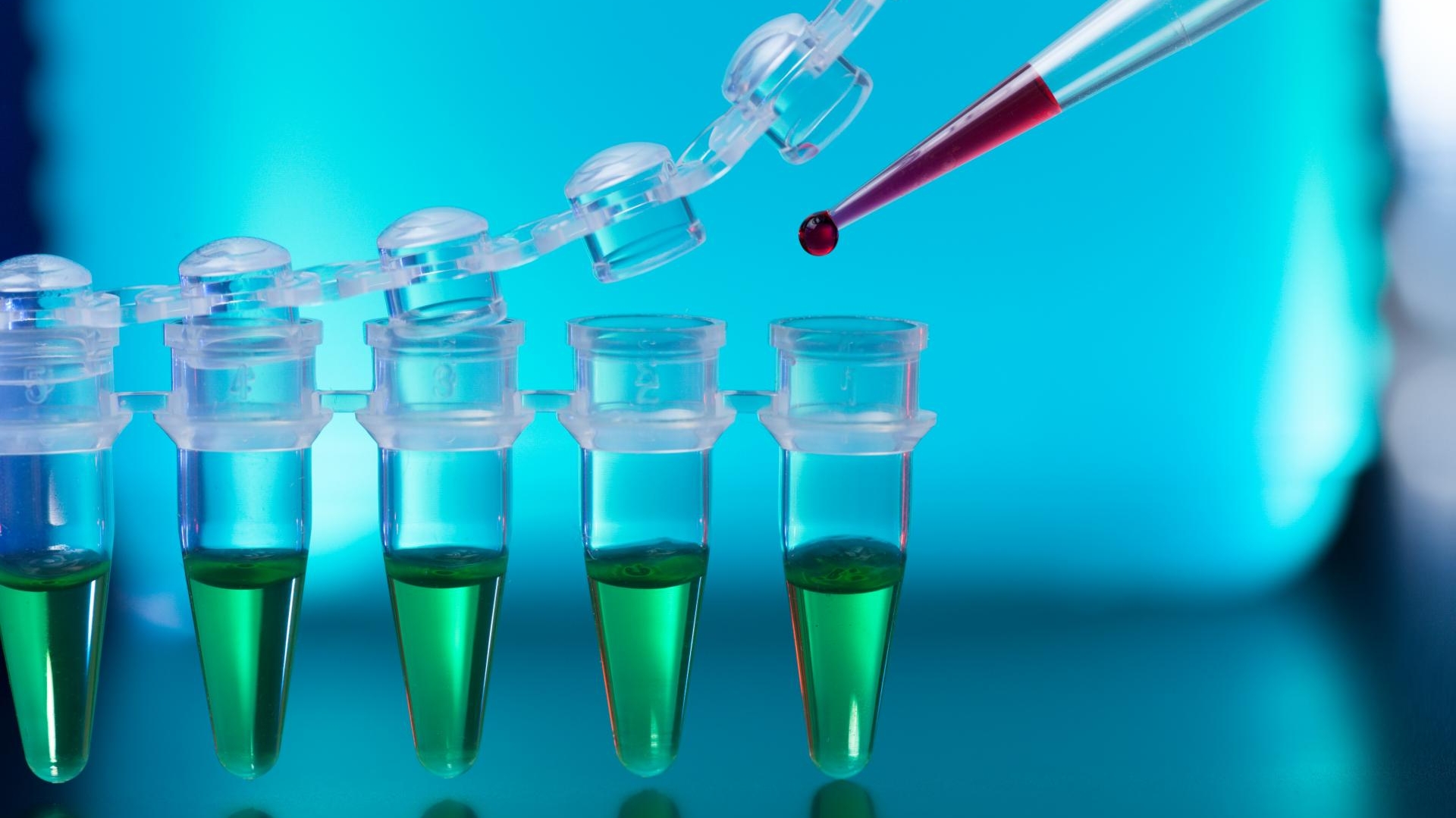 Polymerase Chain Reaction