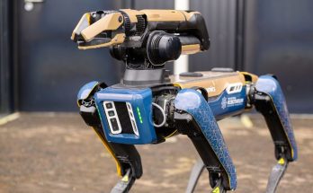 Spot Robot Dog