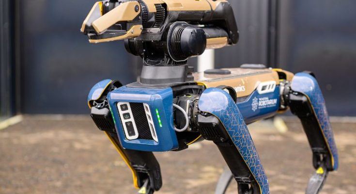 Spot Robot Dog