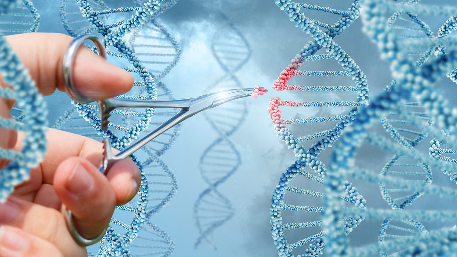 Synthetic Biology