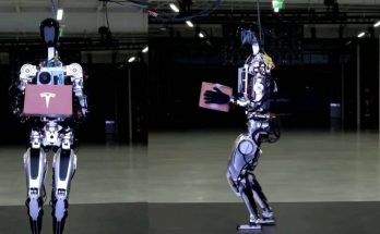 Tesla Bot Optimus