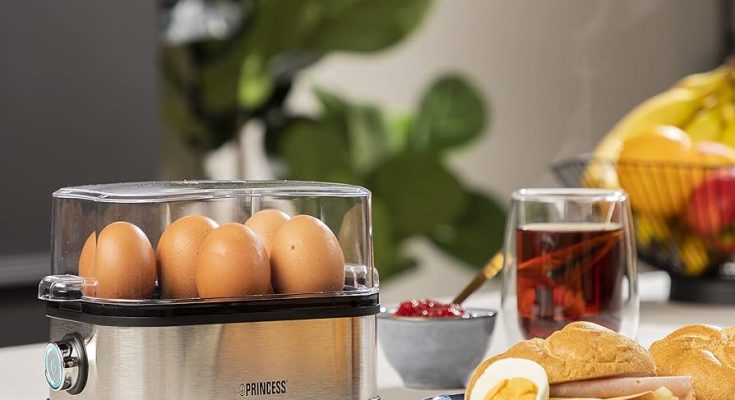 egg boiler