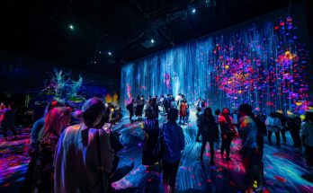 Immersive Experience