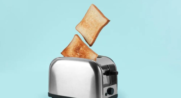 Toaster Roti