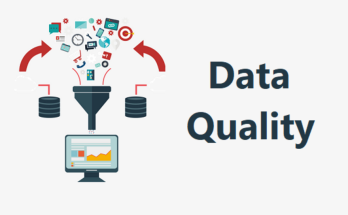 Data Quality