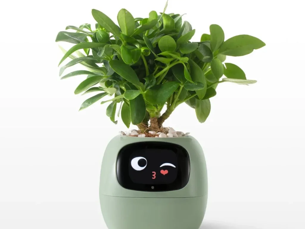 Smart Plant Pot
