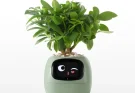 Smart Plant Pot