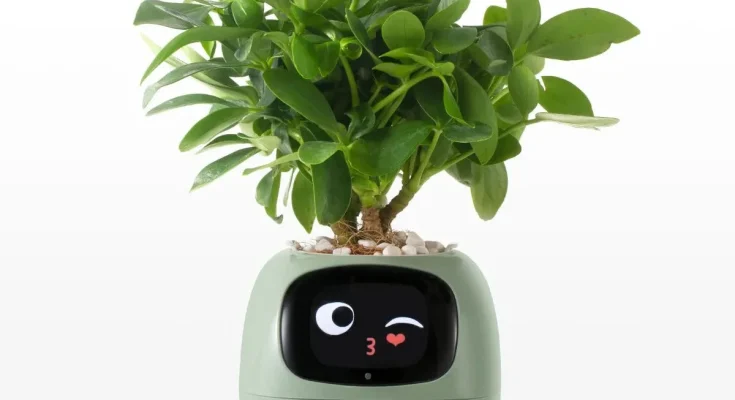 Smart Plant Pot