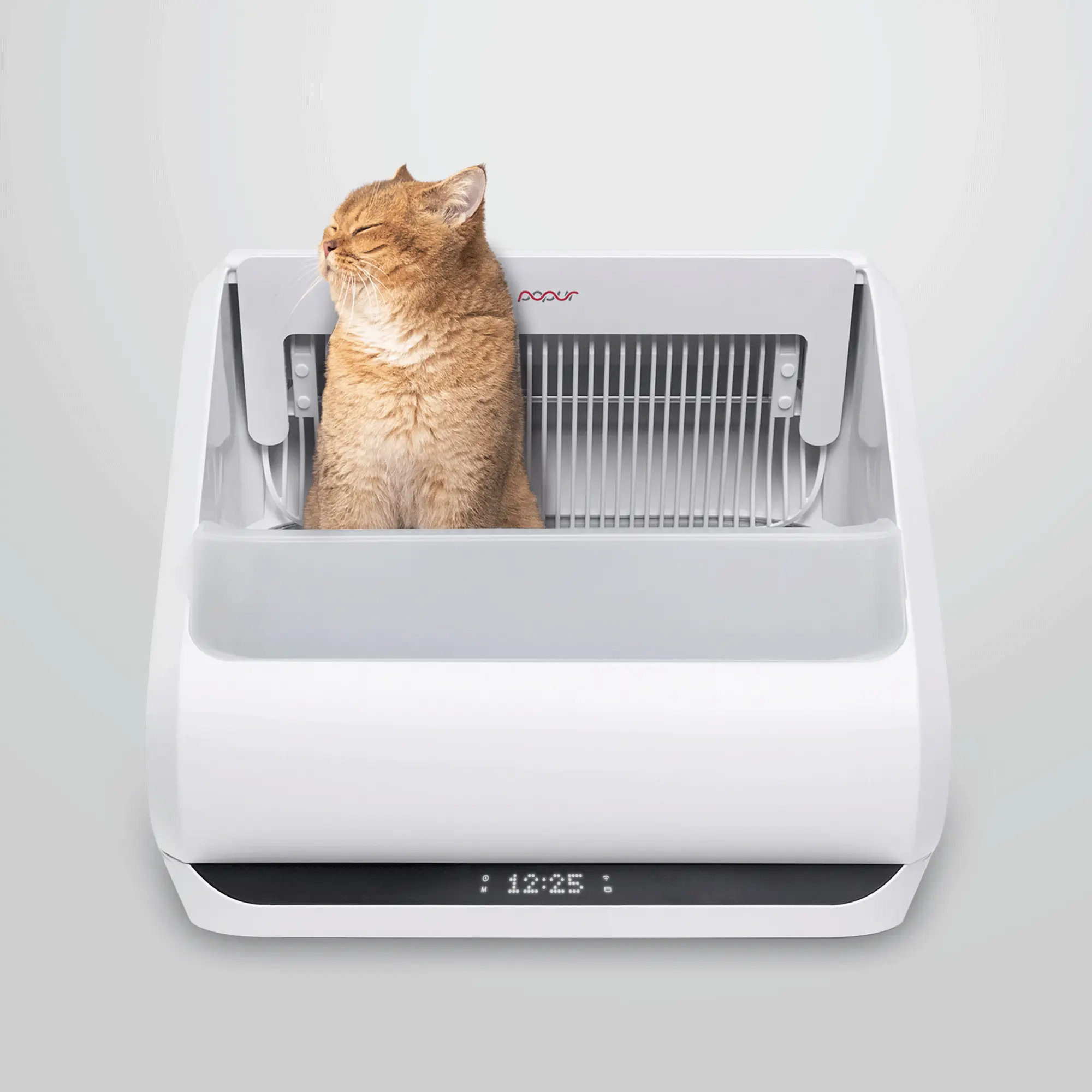 Smart Litter Box
