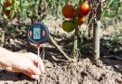 Soil Monitor: Alat Revolusioner untuk Mengukur Kelembapan dan Nutrisi Tanah Secara Akurat