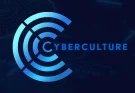 Cyberculture