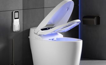 Smart Bidet
