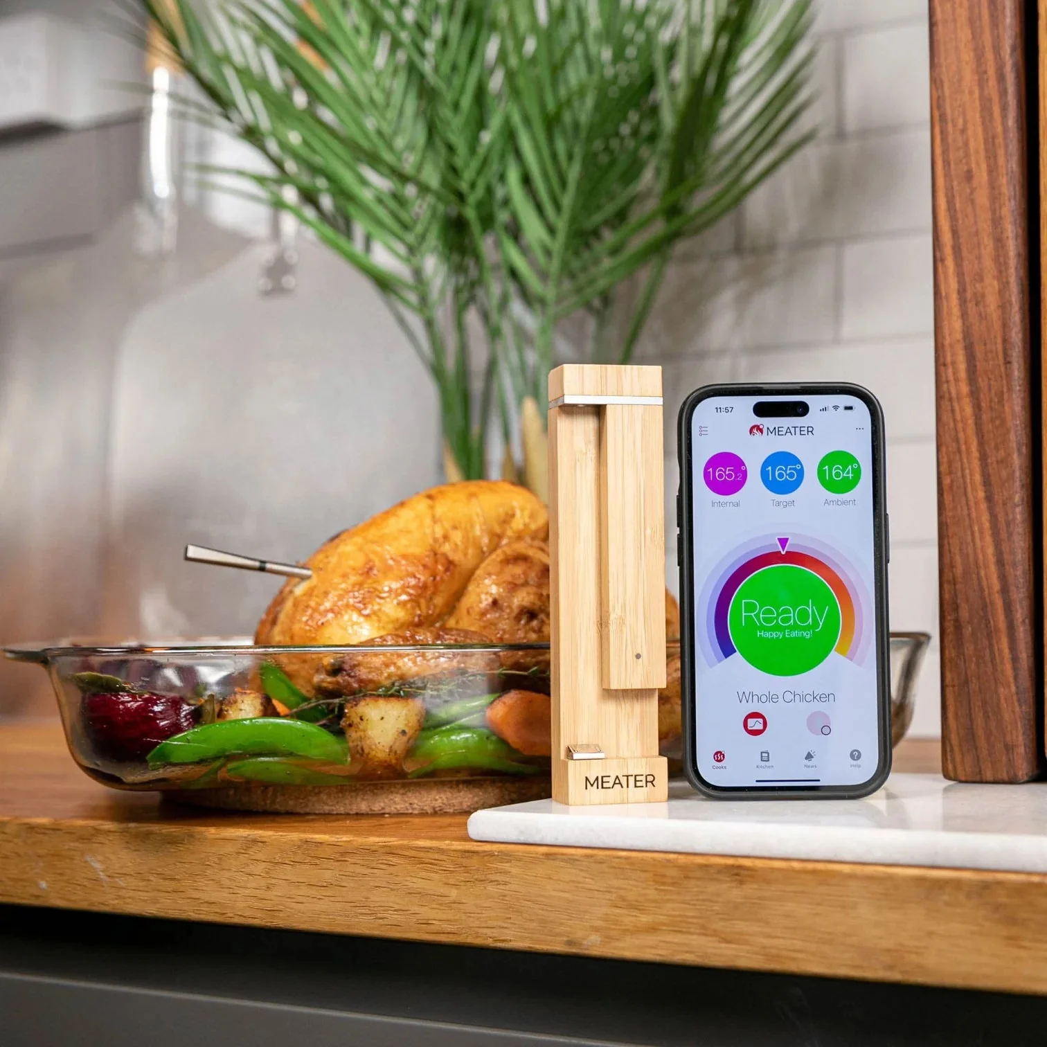 Smart Meat Thermometer