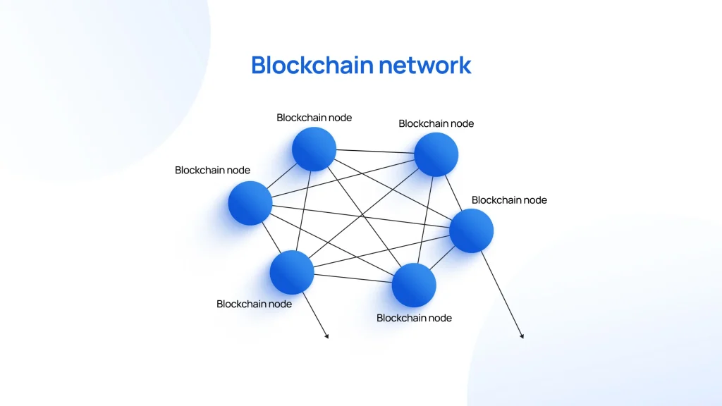 Blockchain Nodes
