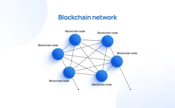 Blockchain Nodes