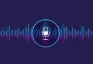 Voice Assistants