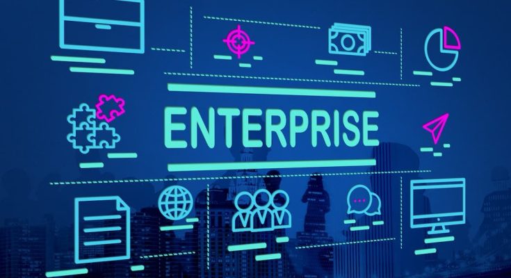 Software Enterprise