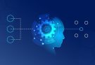 Explainable AI: Making Machine Learning Transparent