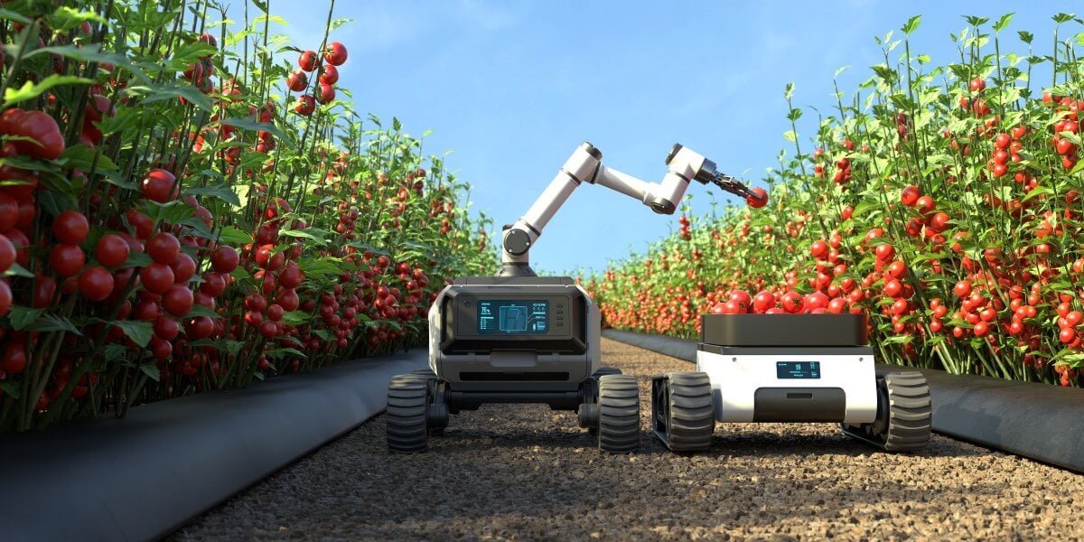 Farming Robot